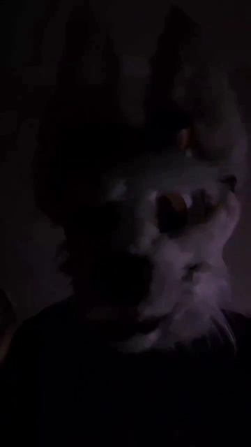 #раптор #рапторы #раптор   #фурри