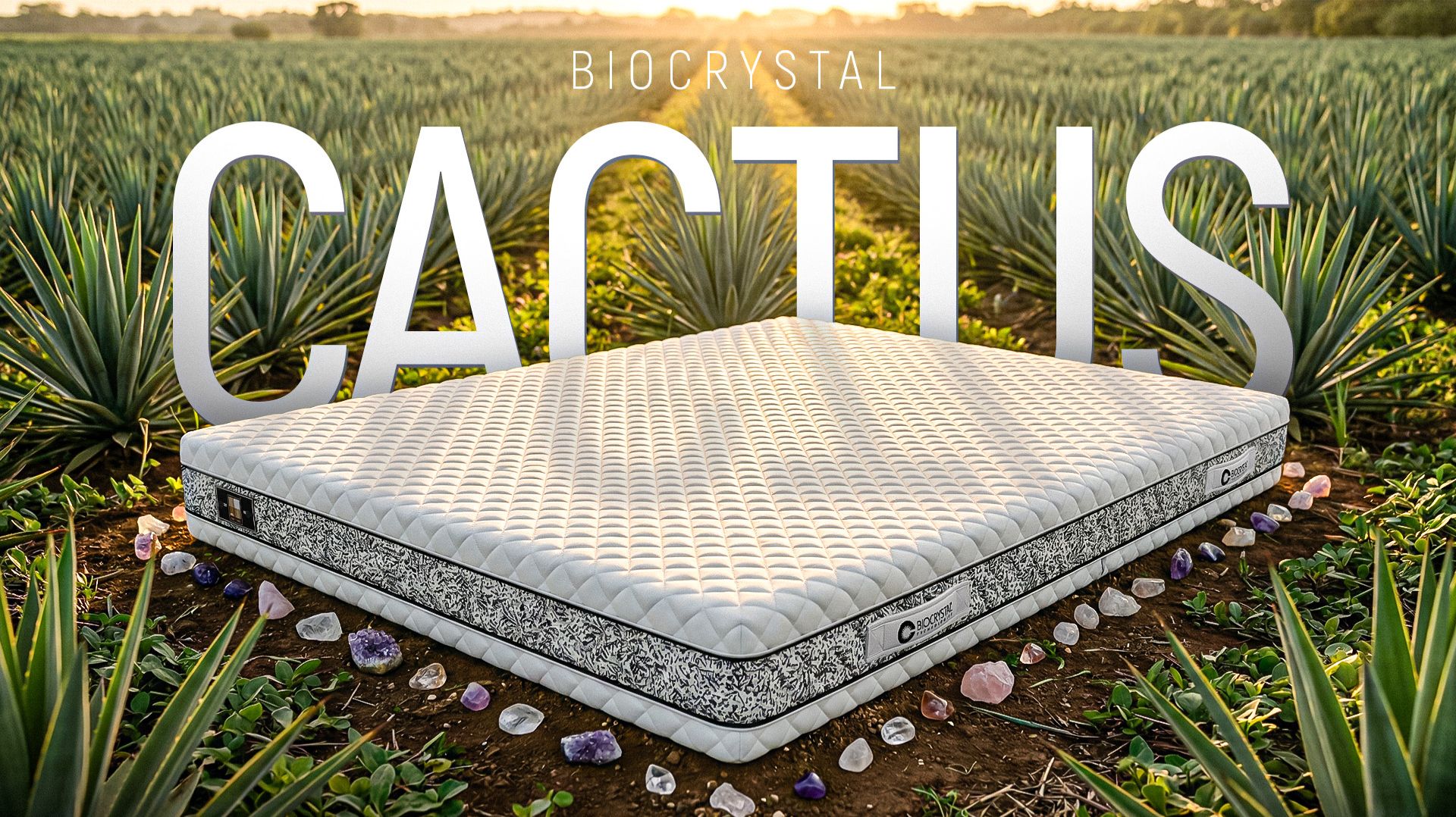 Матрас Кактус