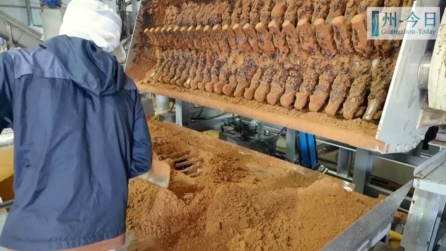 🔴 КИТАЙСКАЯ ПРОИЗВОДСТВЕННАЯ ЛИНИЯ | Производство сахара | Оборудование | Предприятия КНР, ГУАНЧЖОУ