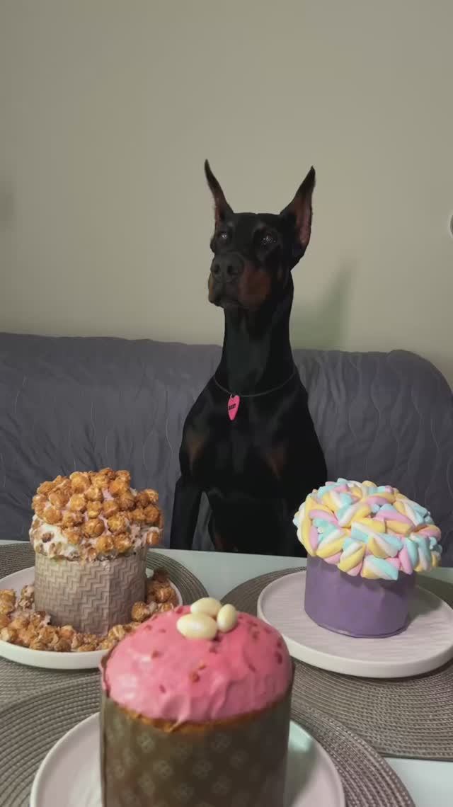 С ПАСХОЙ🐣🥚✨