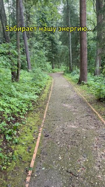 Природа - заряжает!