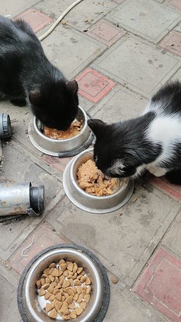 Замечательно!