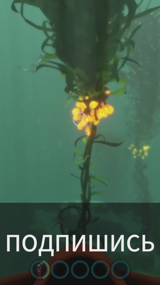 Море водорослей собираем грозди семян #Subnautica #сабнатика #прохождение 1-3