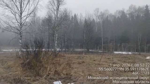 д. Рогачёво 50:18:0040214:710