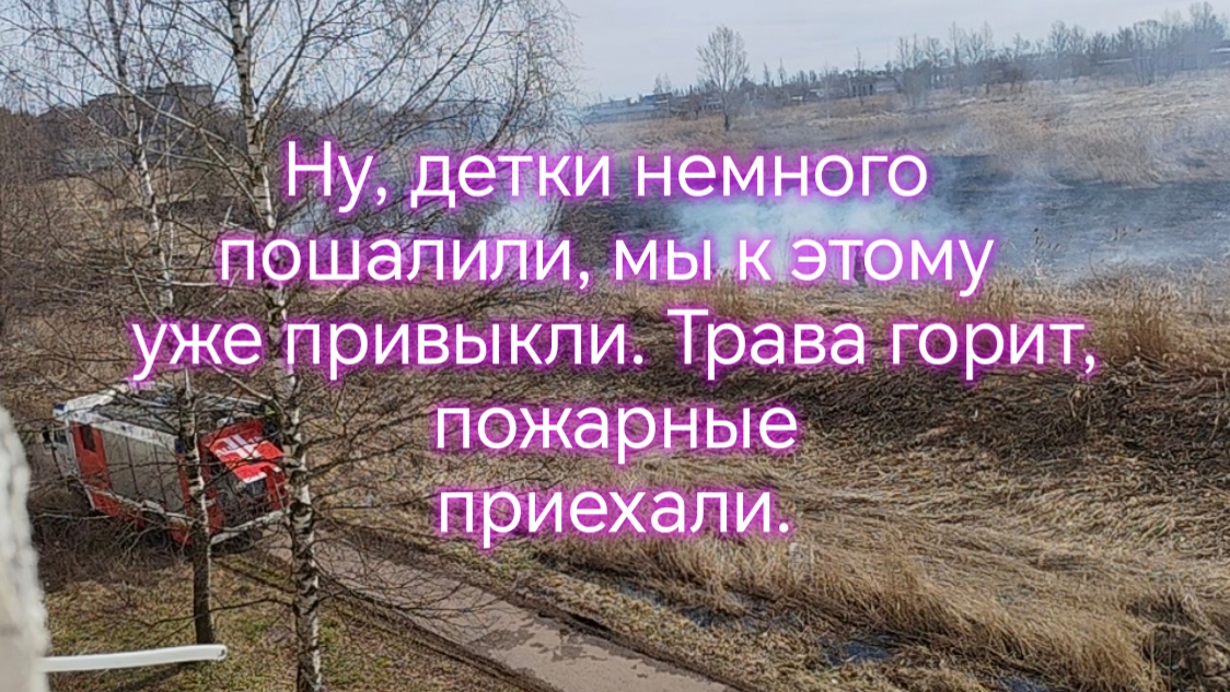 Ну, детки немного пошалили, мы к этому уже привыкли. Трава горит, пожарные приехали.🚒🚒🚨🚨