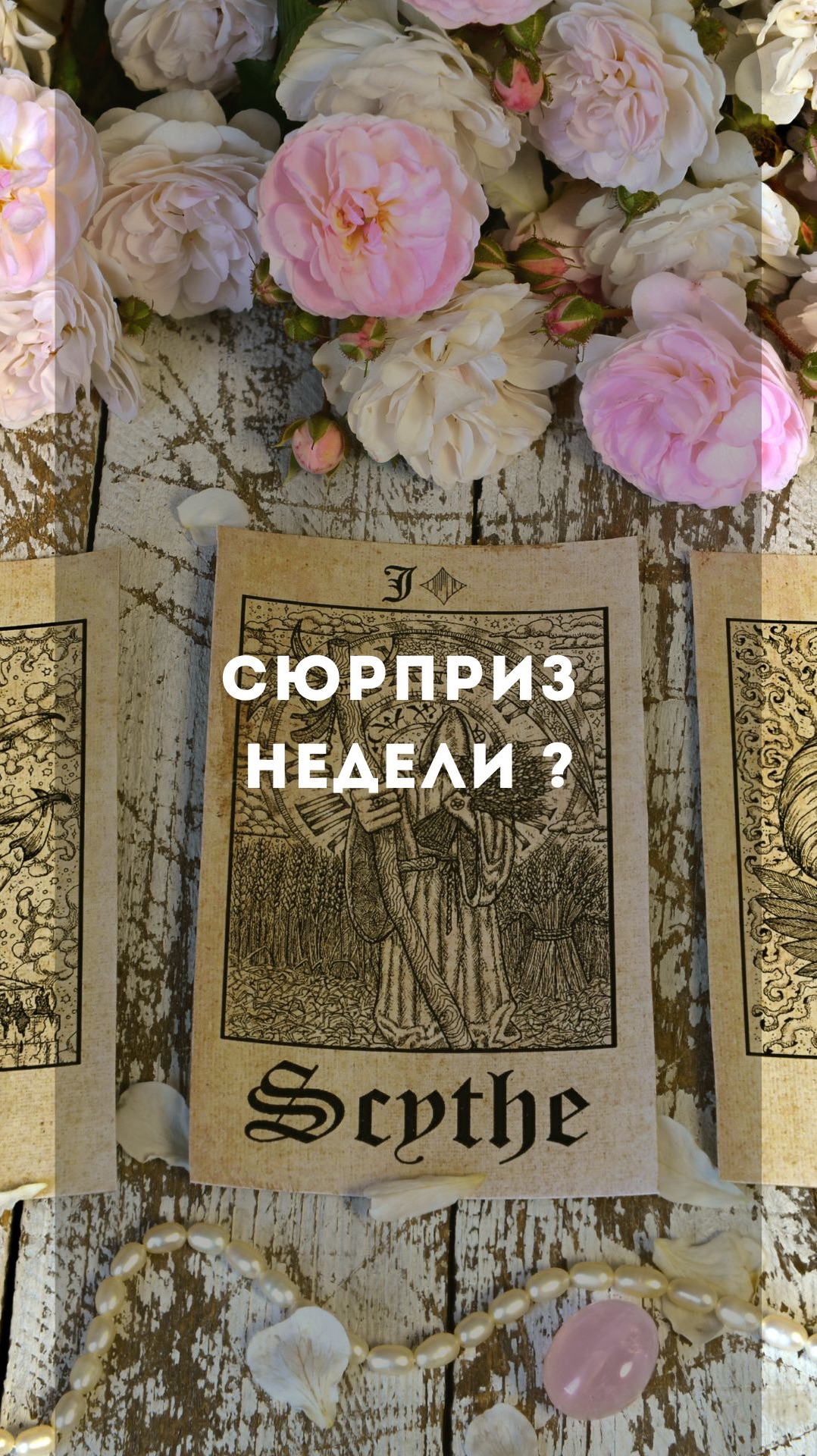 Сюрприз недели ?