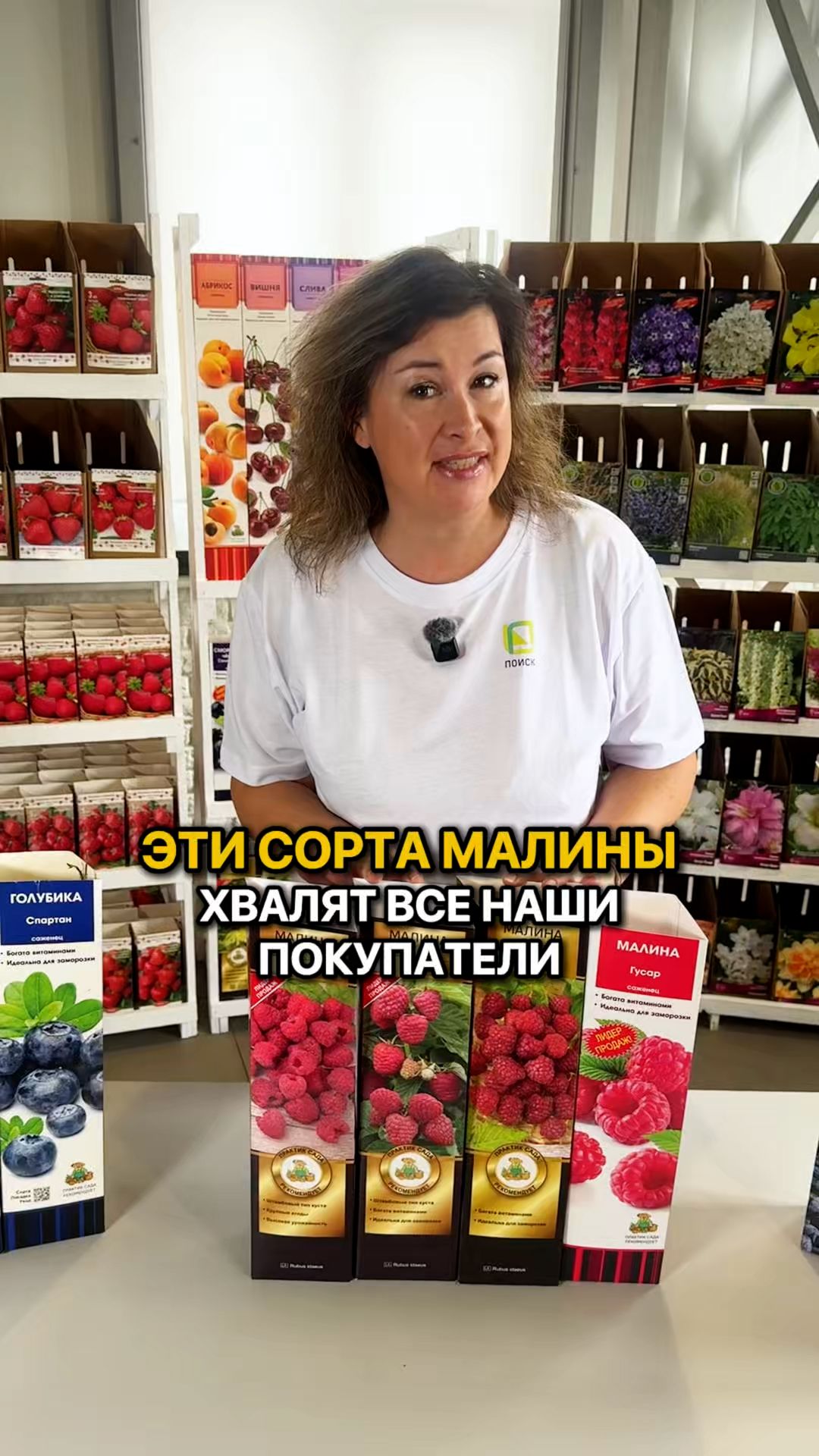 4 СОРТА МАЛИНЫ, которые очень любят садоводы!