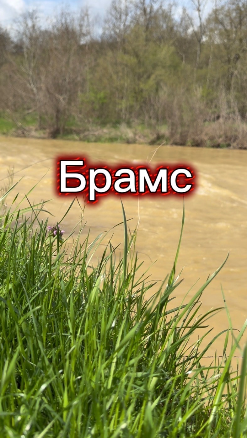 Брамс, Адажио из Сонаты №3, классическая музыка