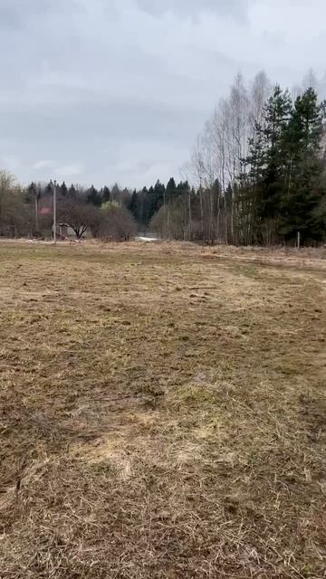 д. Цуканово 50:18:0030132:747