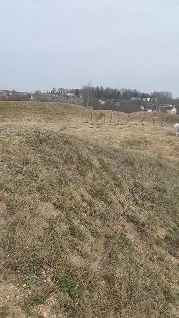 Индура, городище