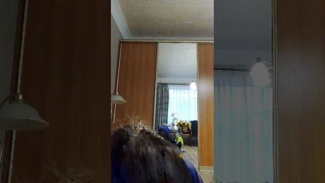 шутить изволите