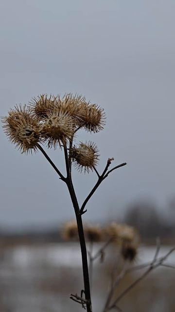 Река Каймарка.