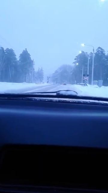 стихотворение о Салаире уже в полночь на российских музыкальных площадках #Лавицкая #Салаир #стихи #