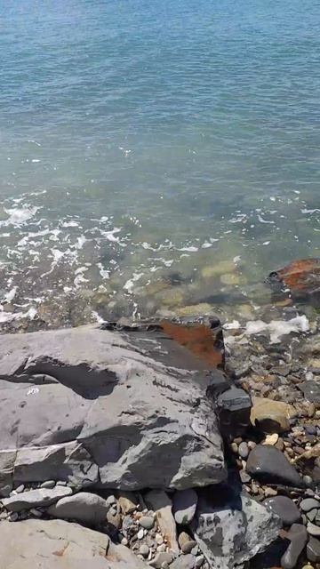 ДЖУБГА Молчанова пляж 12.04.2026