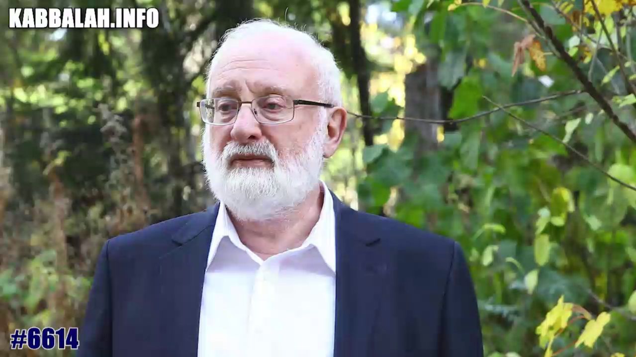 Сердце и разум [6614] (25.12.2002)