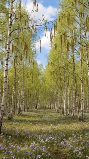 Пора меняться. #вмиренеспокойно #годбольшихперемен