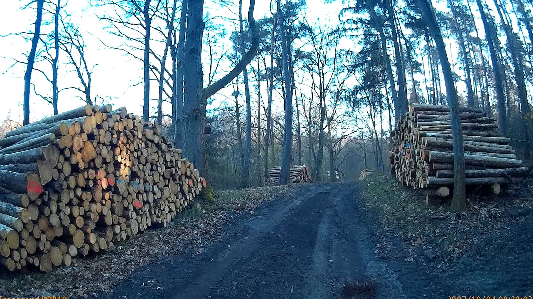 Plünderland Deutschland #Waldraubbau