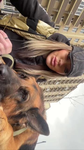 Сегодня мы зашли в магазин, 
А нас облаяла тётя,