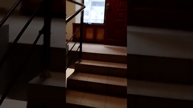 96313fb6f32dc25f9d3e0901a8cfda24