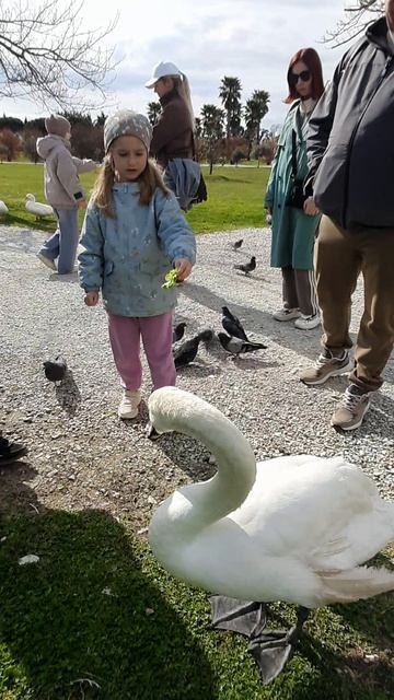 8f203cf726c0d306aaf8fb1ece75ca6f