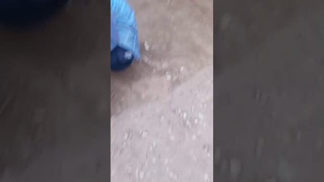 (Boxing Board) догонялки присятки