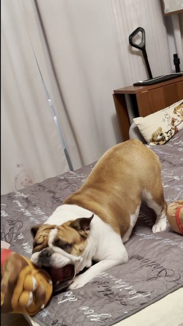 Все, наигрались!