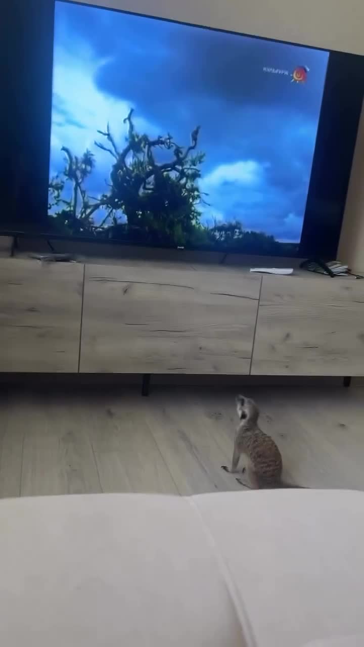 Опастное 🫣