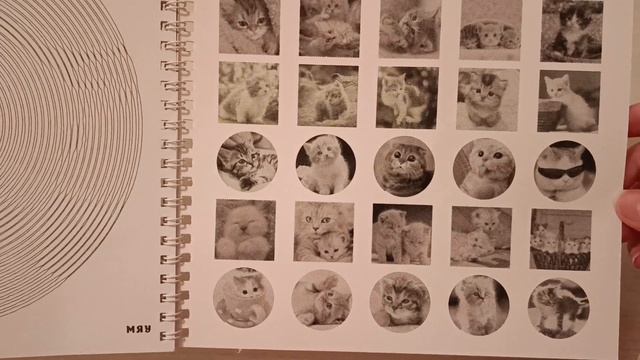 Обзор на Мяу-раскраску. Линии. Спирали. Точки