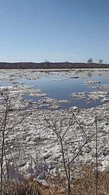 Солнечный апрель.