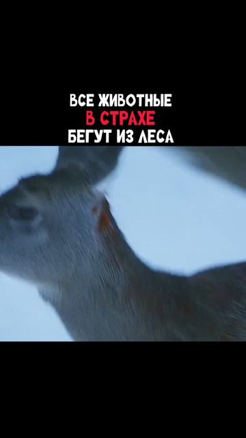 🎥 Название фильма: 