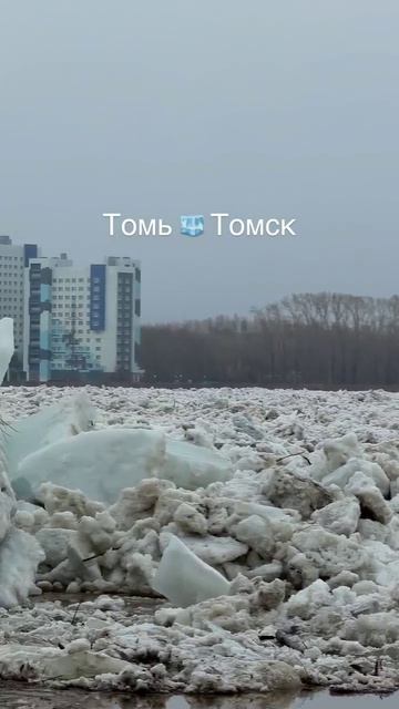 В результате половодья на реке Томь в Томске подтоплены 25 жилых домов и 185 приусадебных участков.