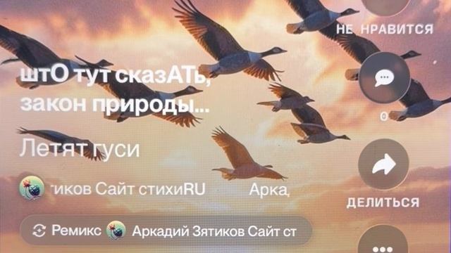 «Летят гуси» куда вы гуси, там же фронт
