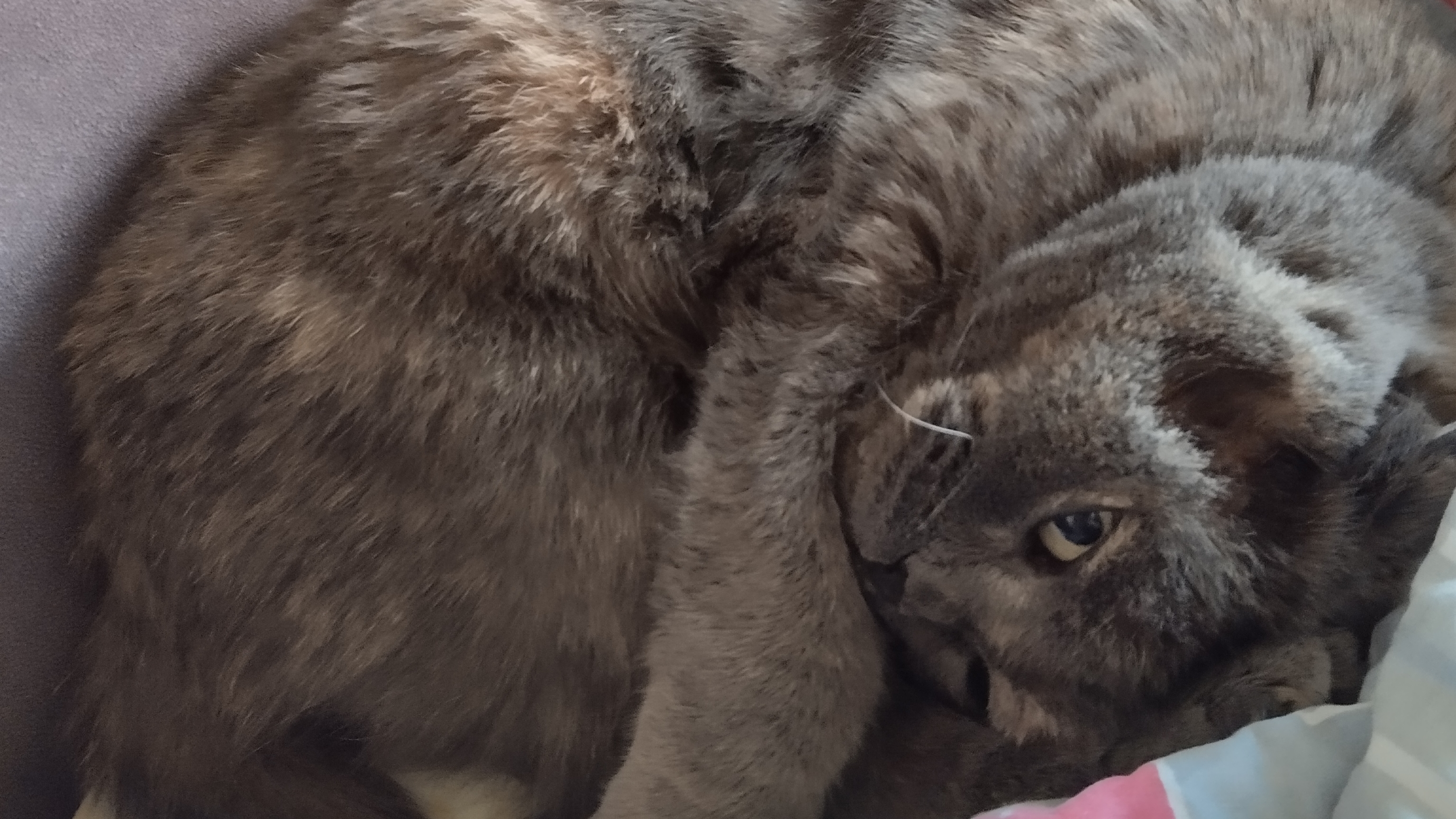 что хотят мои лп VS что хочу я