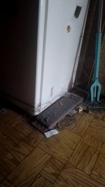 Помогите уехать от такого соседа! Сб 5336690144598952