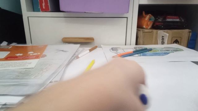 Тигрёнок с пандой подружились