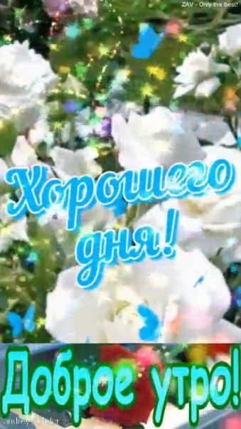 Доброе утро!) Хорошего дня!) #доброеутро