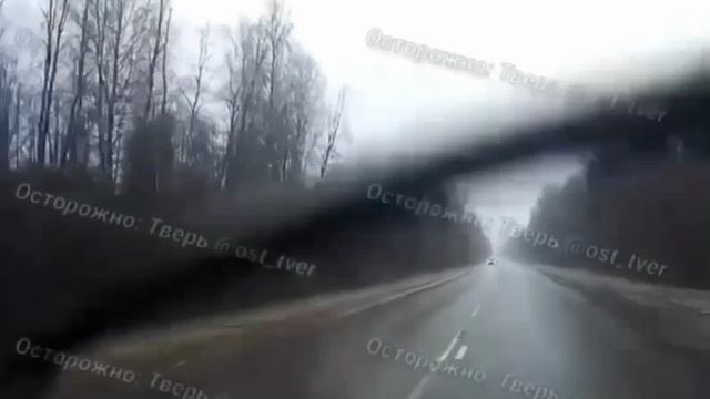 Лось врезался в легковушку и сделал сальто

Животное перебегало дорогу возле Старицы в Тверской обла