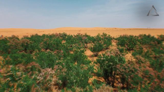 Delta Computers | Природа технологий