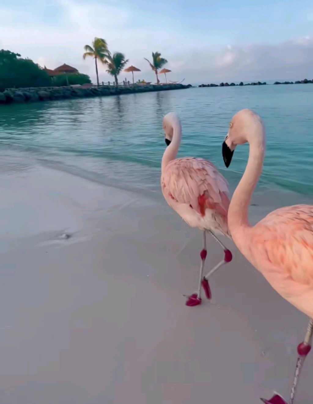 Знания Бога Всем