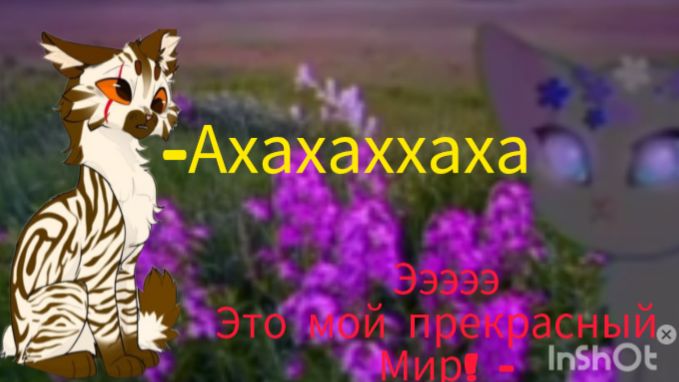 РЕАКЦИЯ НА СЬЮ ИЗ ТТ!#реакция#веалетта#