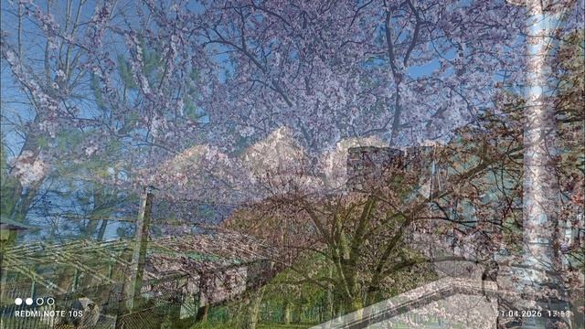 Анапа Март-Апрель 2026 года!