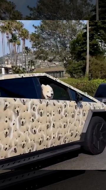 Необычный водитель на необычной машине😊