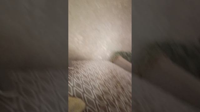 короче хз что смотреть