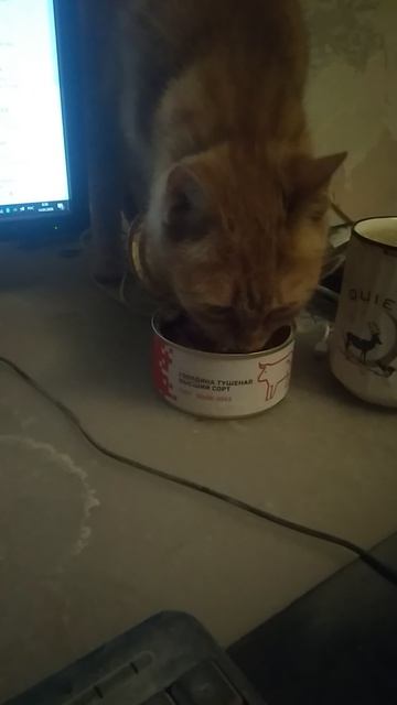 Глистявое меня объедает