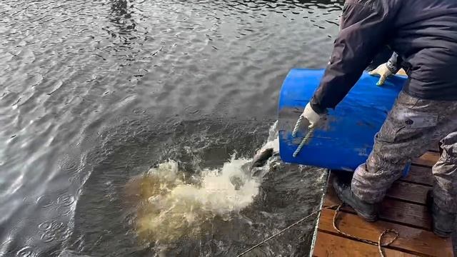 Copy_A08F24DB-E846-418E-AEEF-4128F99E0500