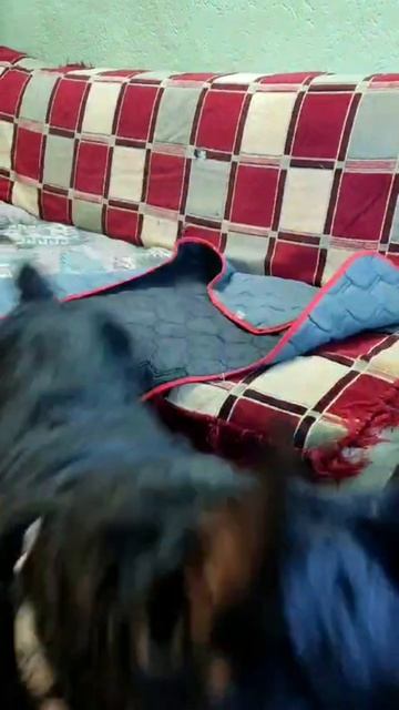 Video.Guru_20240817_172338905