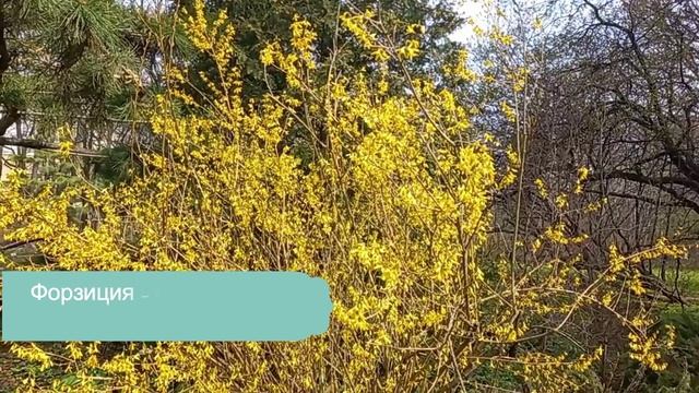 13. 04. 2026  Москва  Аптекарский  огород