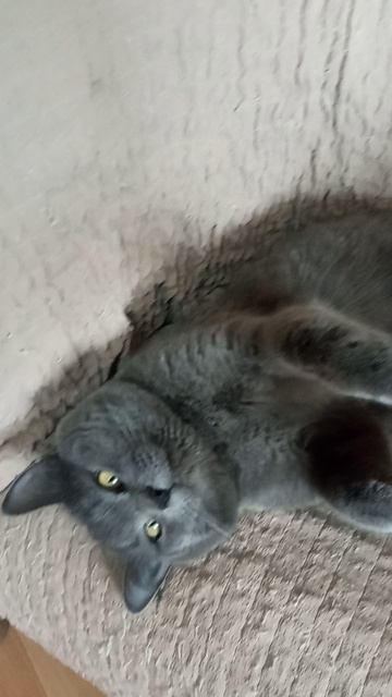 VID_20260414_121757 14.04.2026