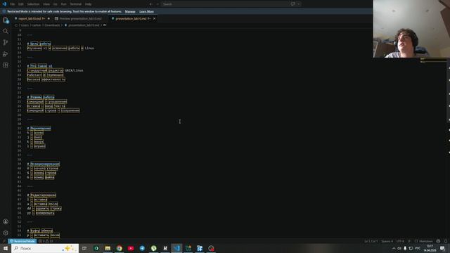 skrincast_защита_презентации_лаб10