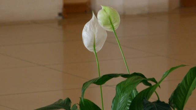 Ольский округ 14 апреля 2026